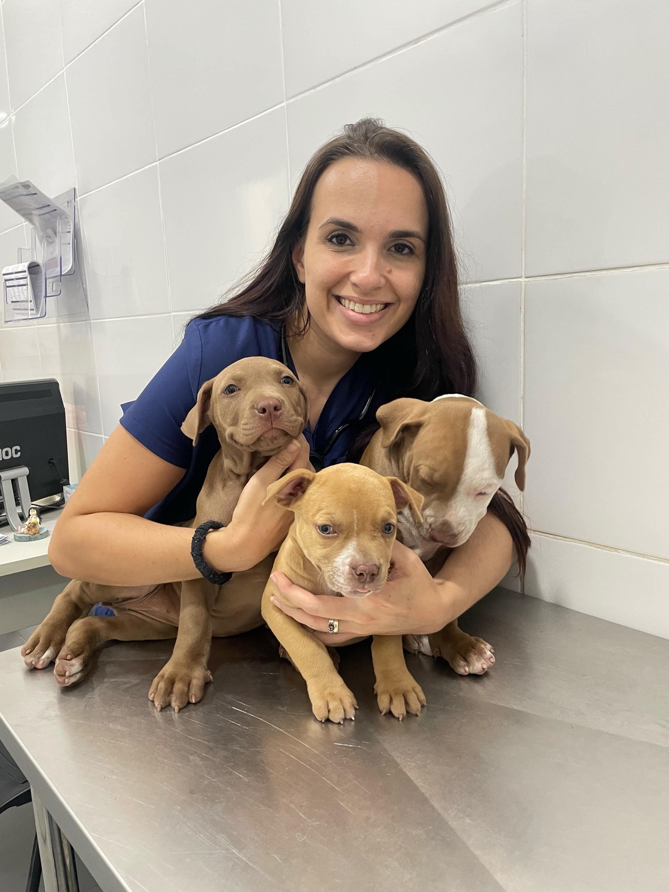 Veterinária da AMEVET segurando três filhotes