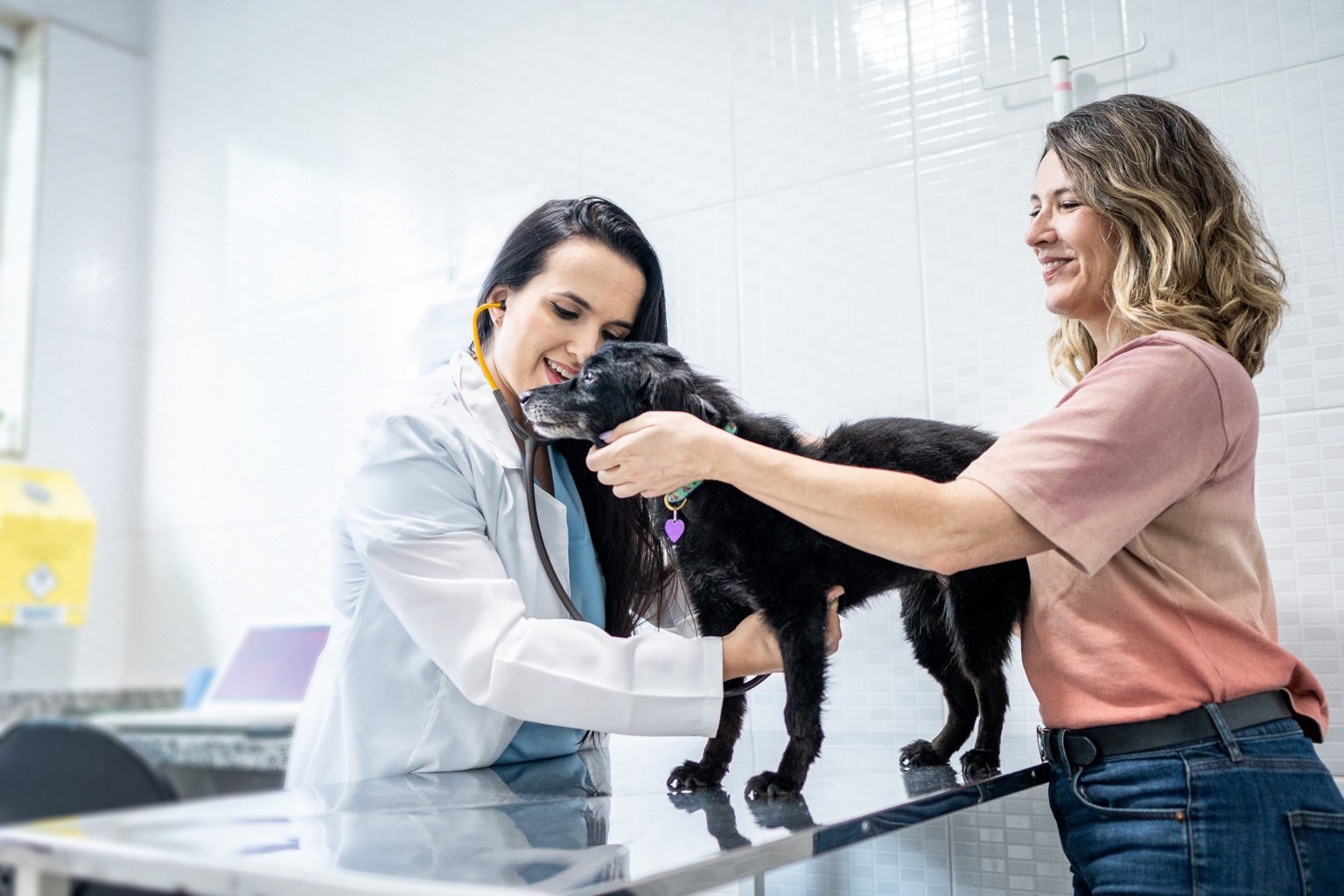 Veterinária da AMEVET atendendo um cachorro ao lado da tutora