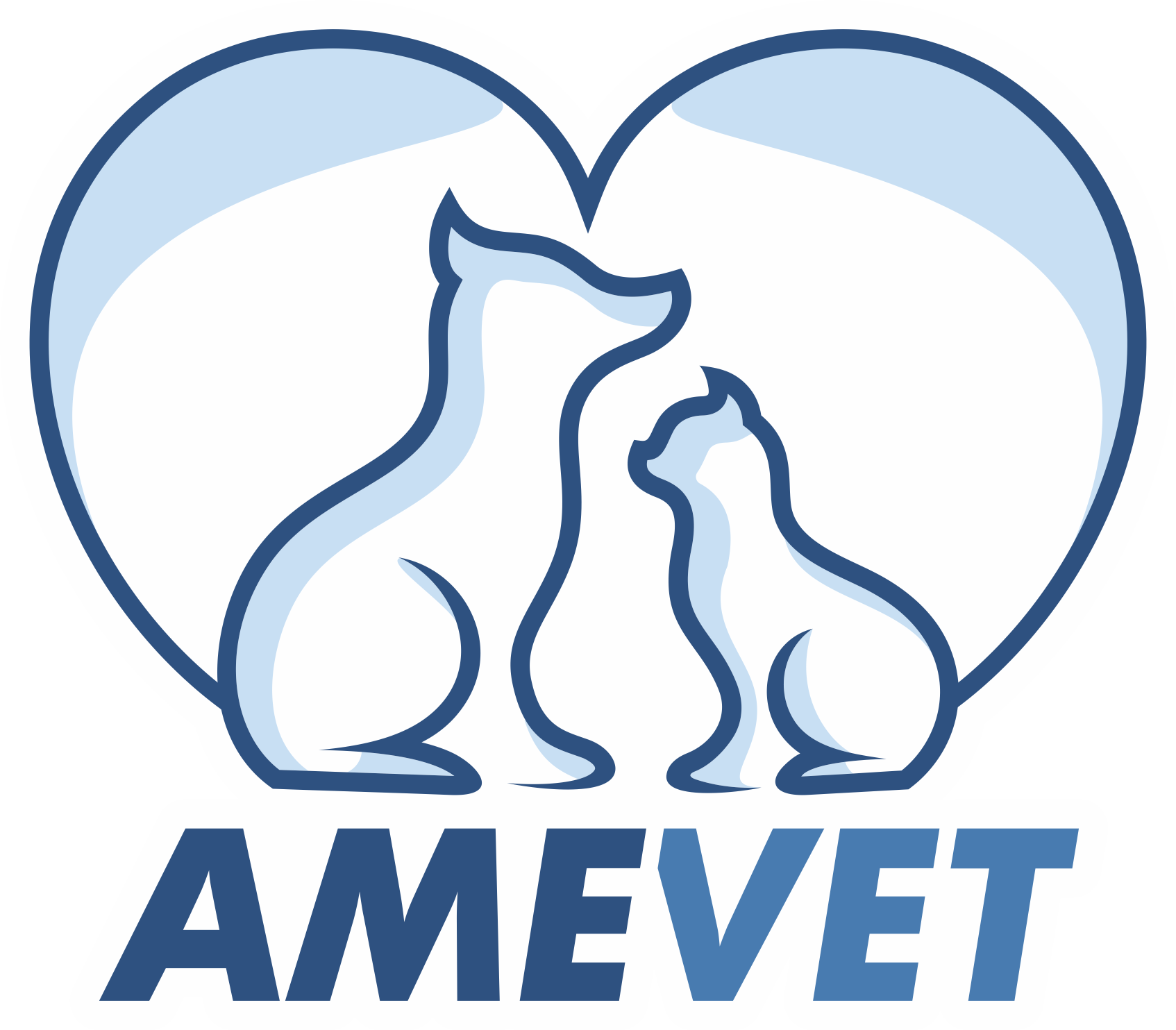 CENTRO AME VET